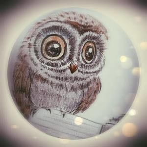 Meet your Posher, Lynn